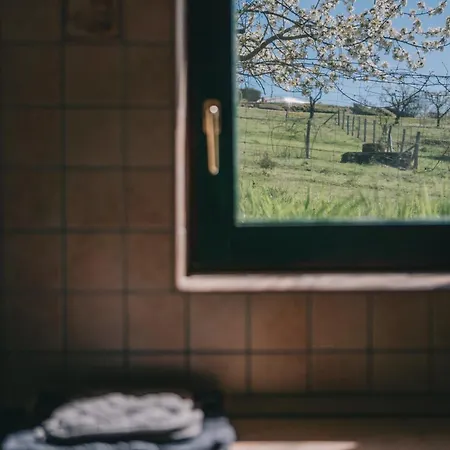 Apartament Feher Barany