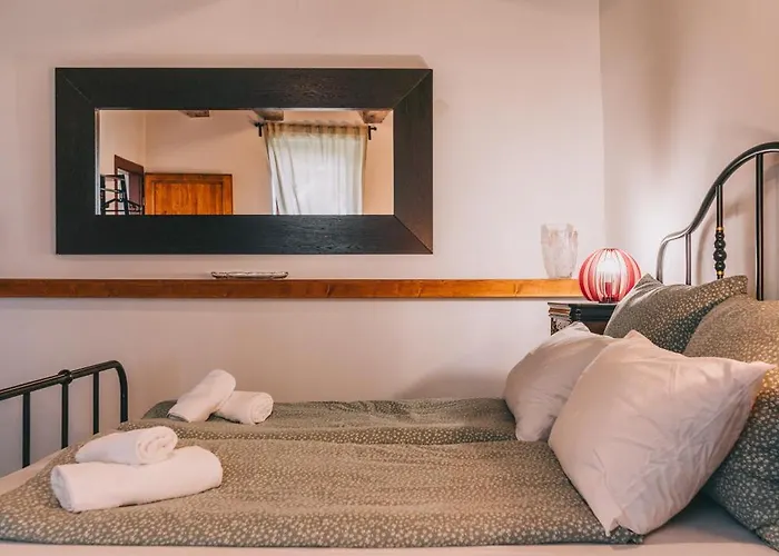 Feher Barany * 시글리게트