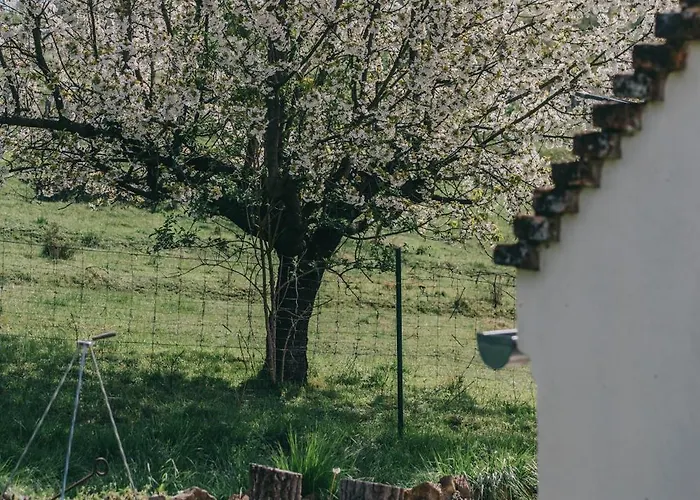 아파트 Feher Barany 시글리게트